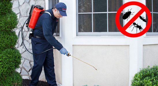 Çıldır Dezenfeksiyon böcek ilaçlama ve haşere kontrolü — ilaclama-tr.com